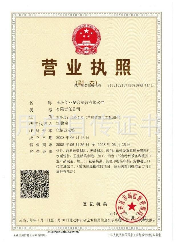 China Yuhuan Chuangye Composite Gasket Co.,Ltd Zertifizierungen