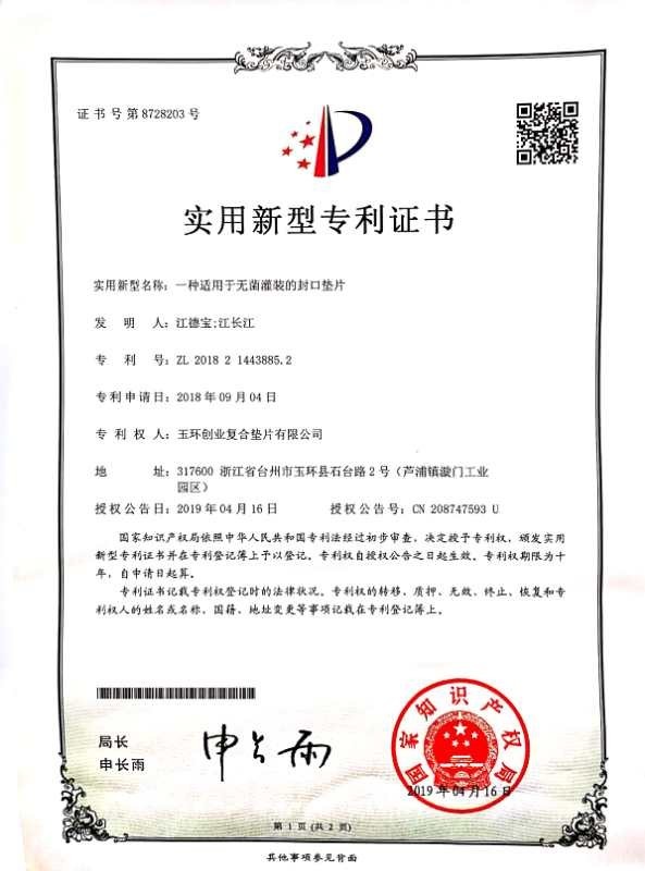 China Yuhuan Chuangye Composite Gasket Co.,Ltd Zertifizierungen